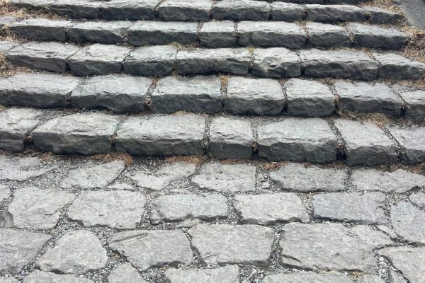 WhatsApp Image 2025-08-13 at 11.54.22_545cf61a